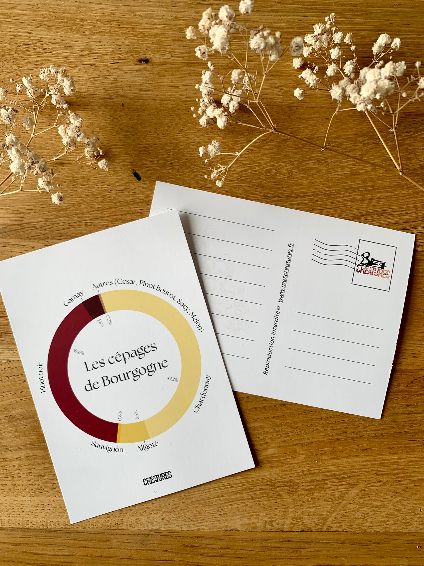 Carte postale « Les cépages de Bourgogne »