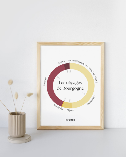 Affiche A4 « Les cépages de Bourgogne »