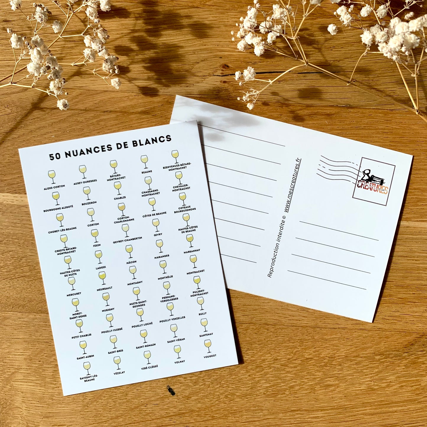 Carte postale « 50 nuances de blancs »