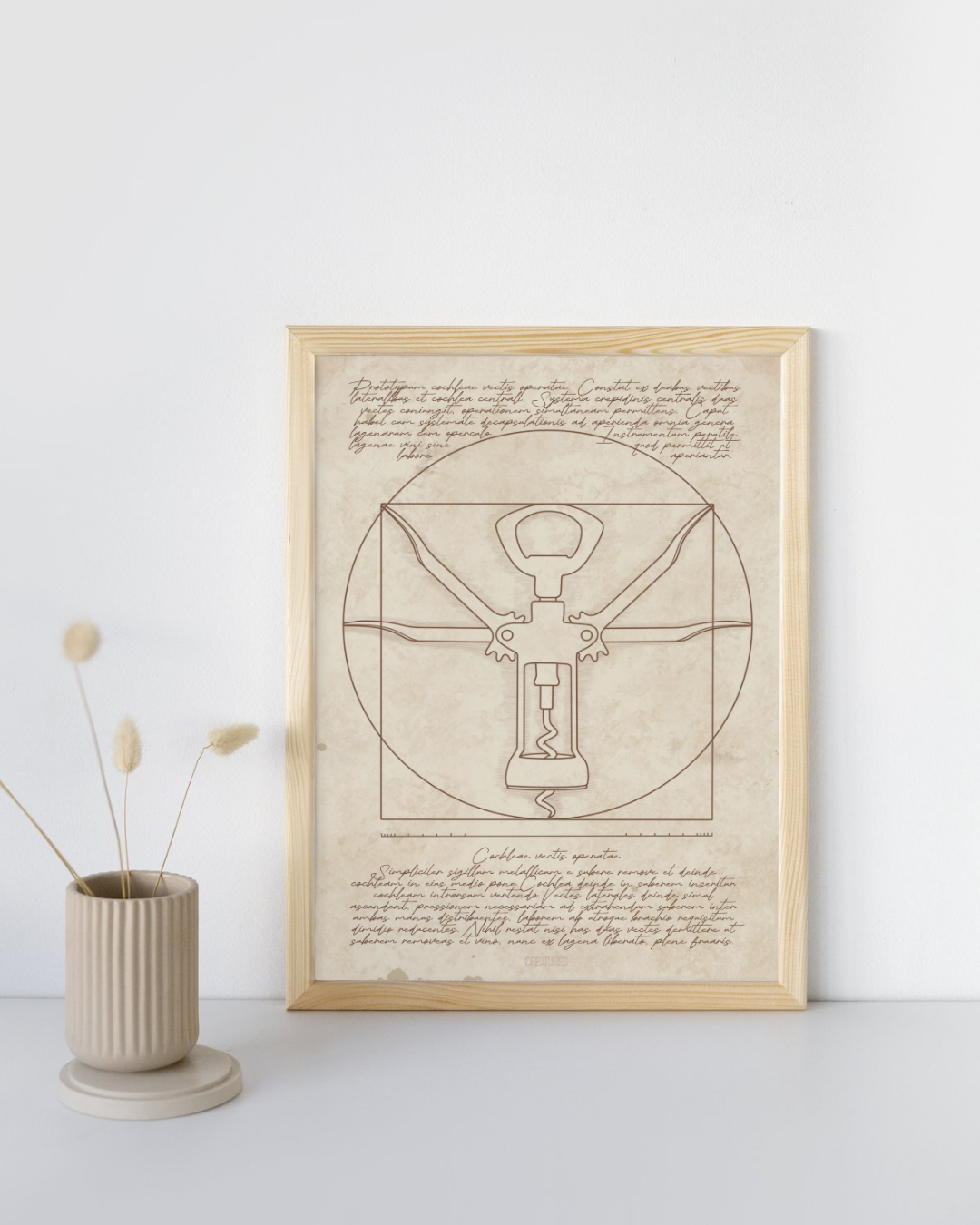 Détournement de l’Homme de Vitruve par De Vinci en ire bouchon de Vitruve