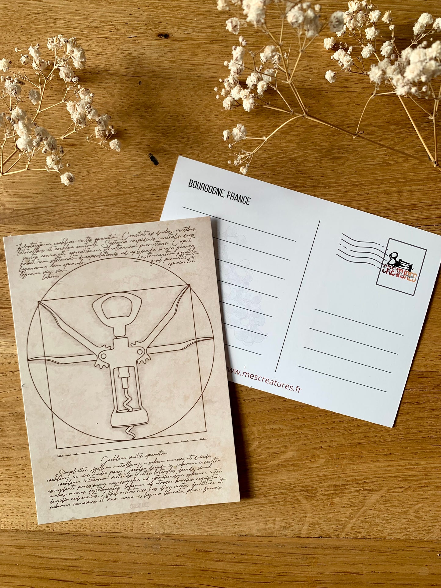 Illustration détournée de l’Homme de Vitruve en version tire-bouchon