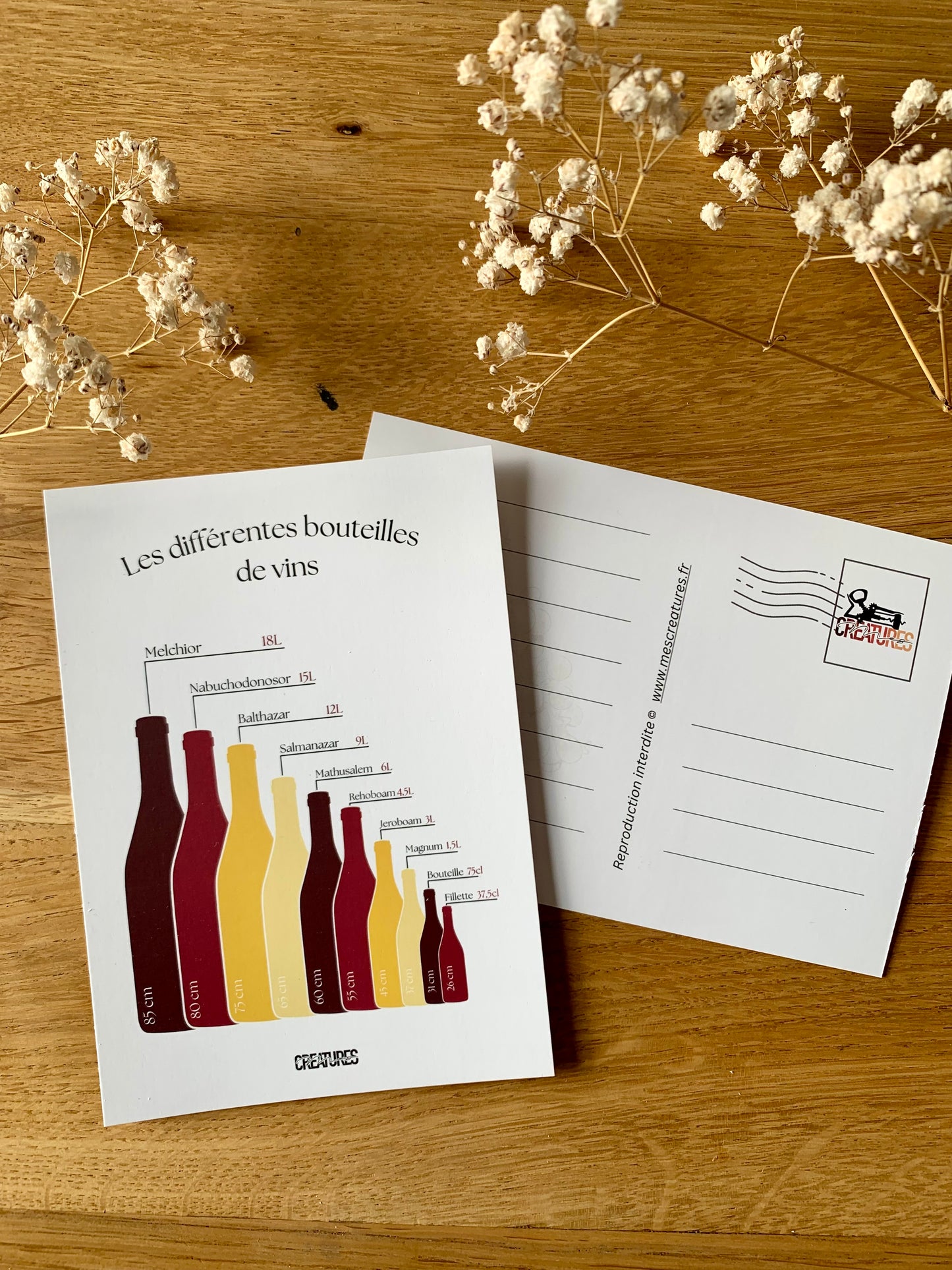 Carte postale représentant les différentes tailles de bouteilles avec leur nom et contenance respective